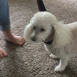 Meet your Posher, Jacob